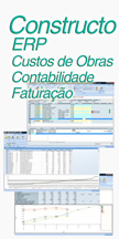 ERP Constructo 14.1